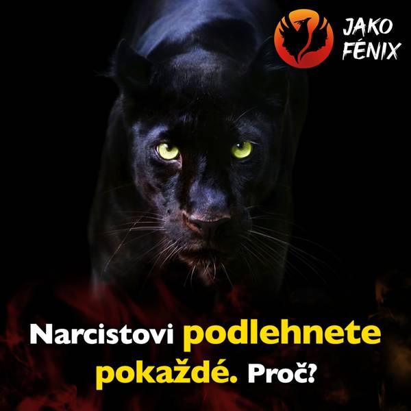 JAKO FÉNIX - Toxické vztahy a manipulace